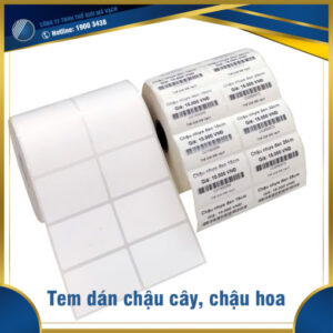 Tem dán chậu cây - chậu hoa